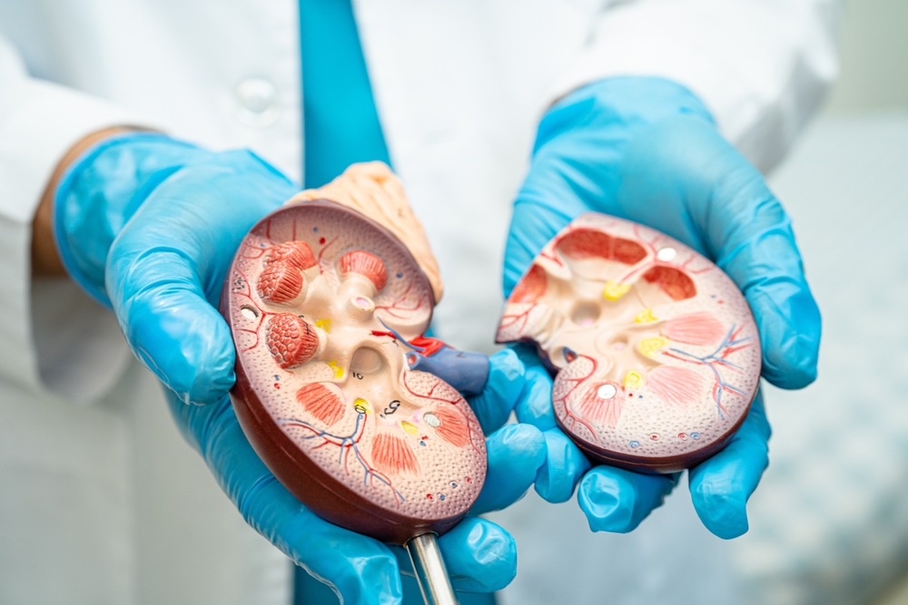 Kidney Failure: Types, Symptoms, Causes & Management
